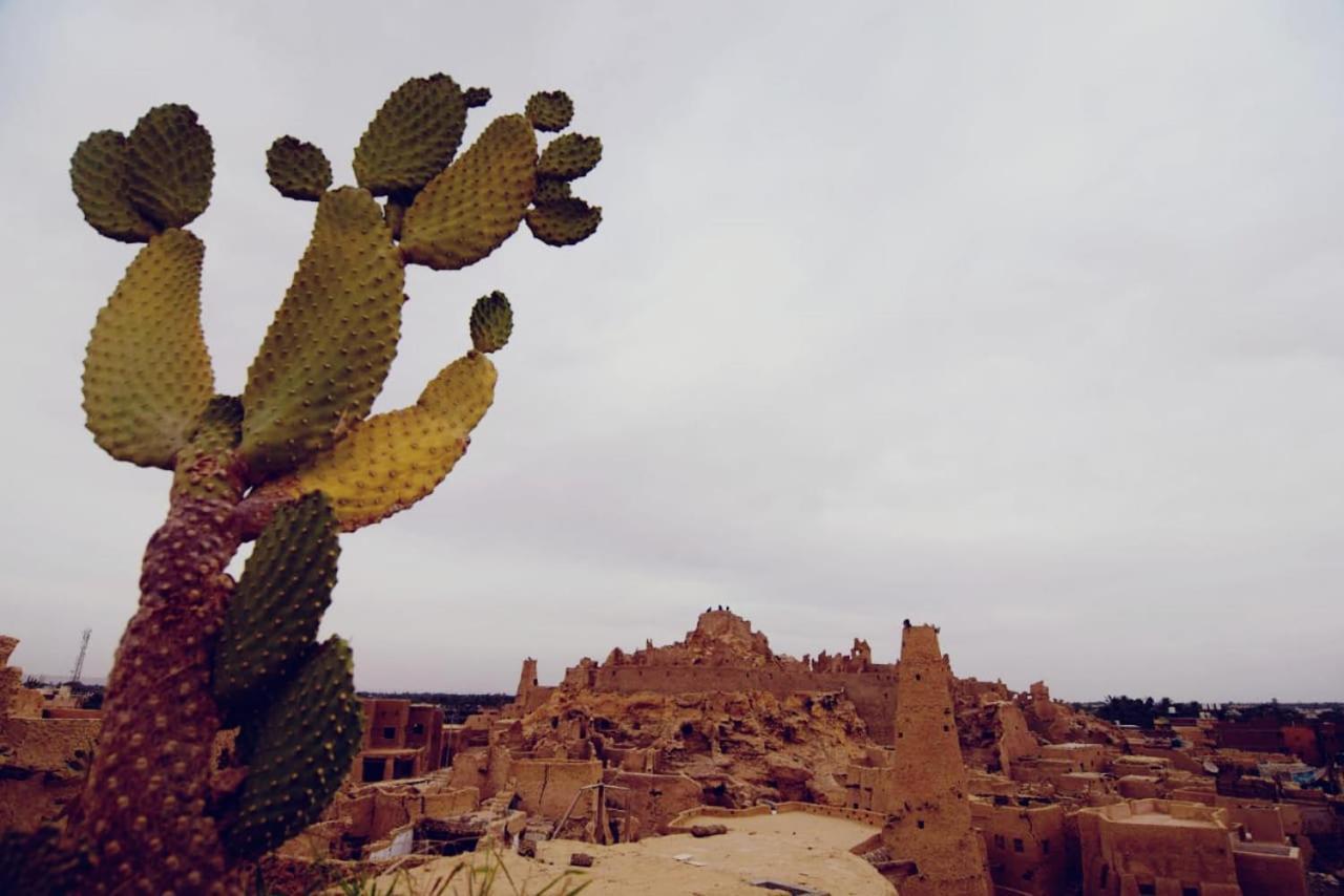 דירות Siwa Oasis Nainshal Siwa מראה חיצוני תמונה